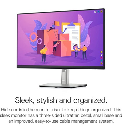 Dell 23.8" P2422H Monitor