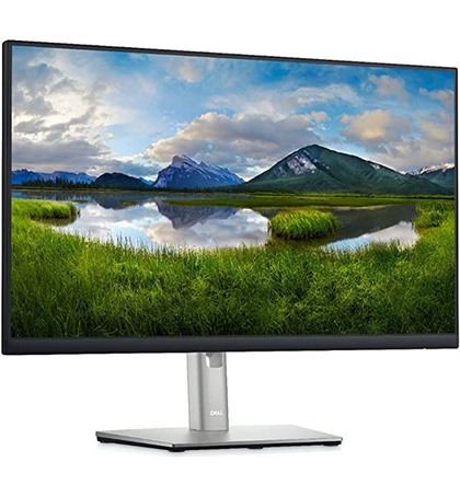 Dell 23.8" P2422HE Monitor
