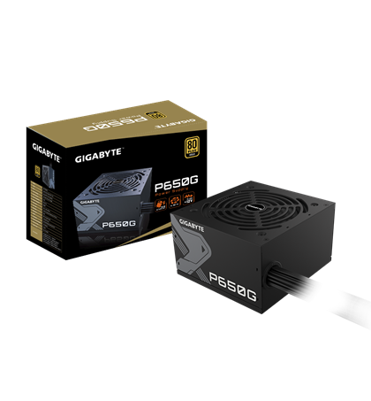 GIGABYTE P650G (80 PLUS Gold) 
